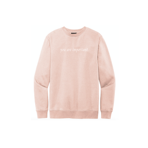 rose water pink / light pink “you are important” crew neck sweatshirt