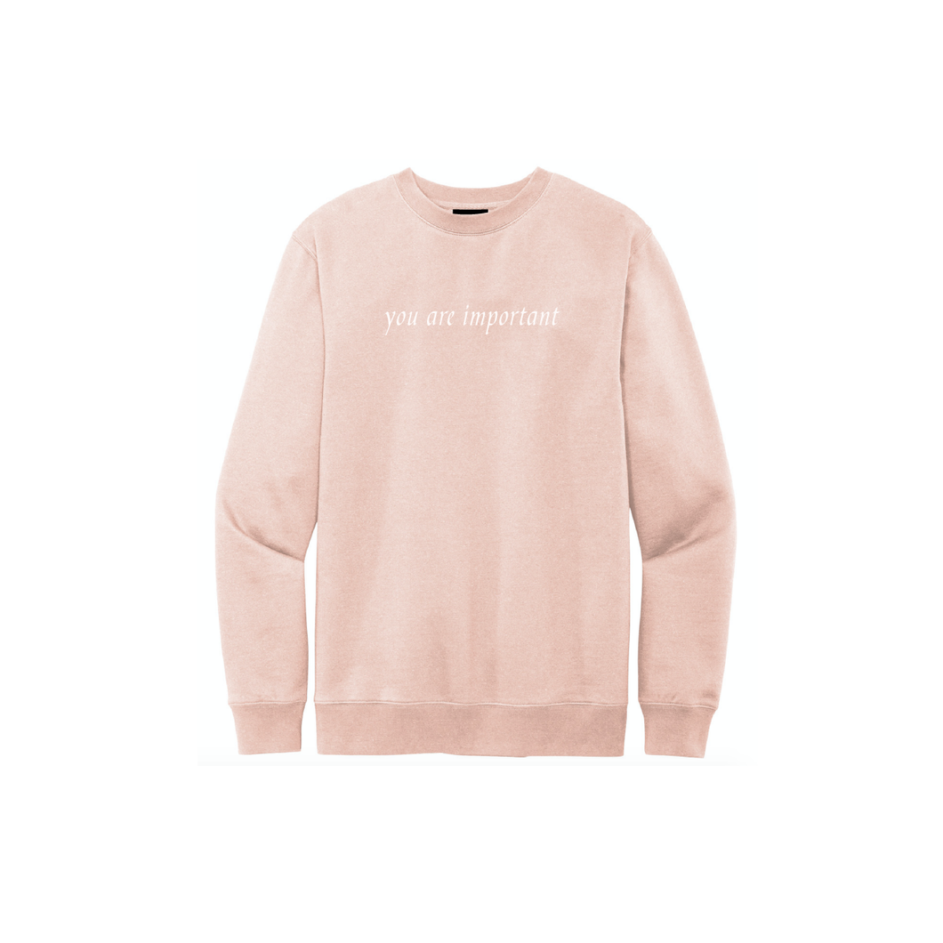 rose water pink / light pink “you are important” crew neck sweatshirt