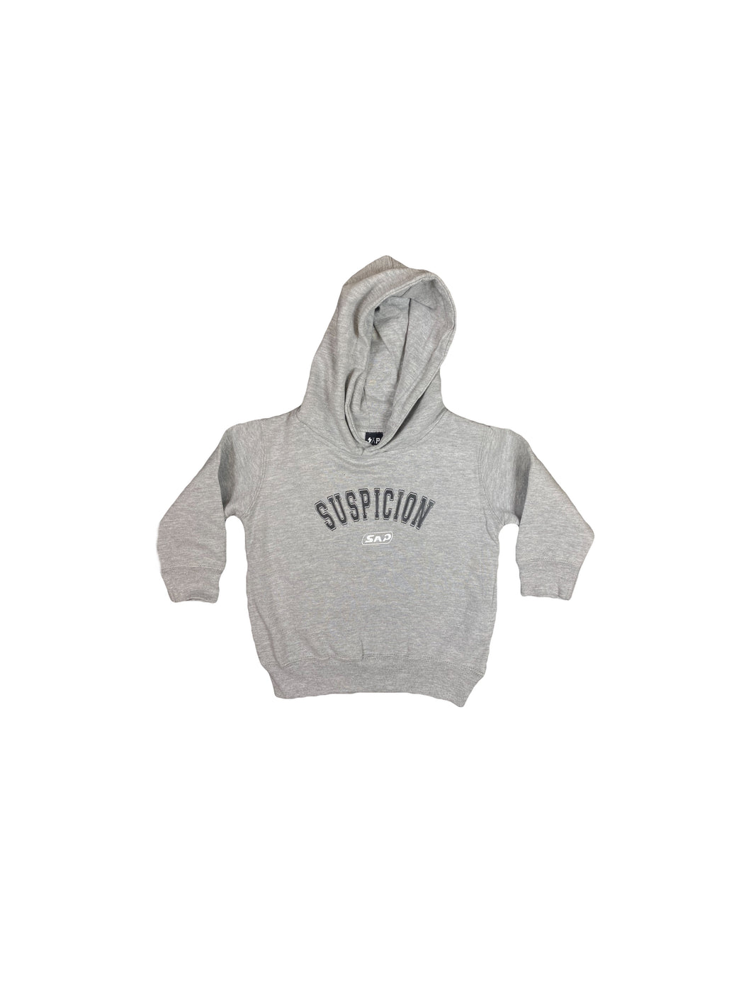 kids gray suspicion hoodie